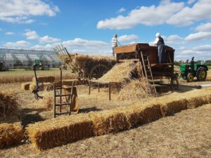 Du cheval de trait à nos jours