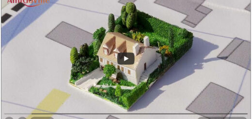 Vidéo journée Carte au sol